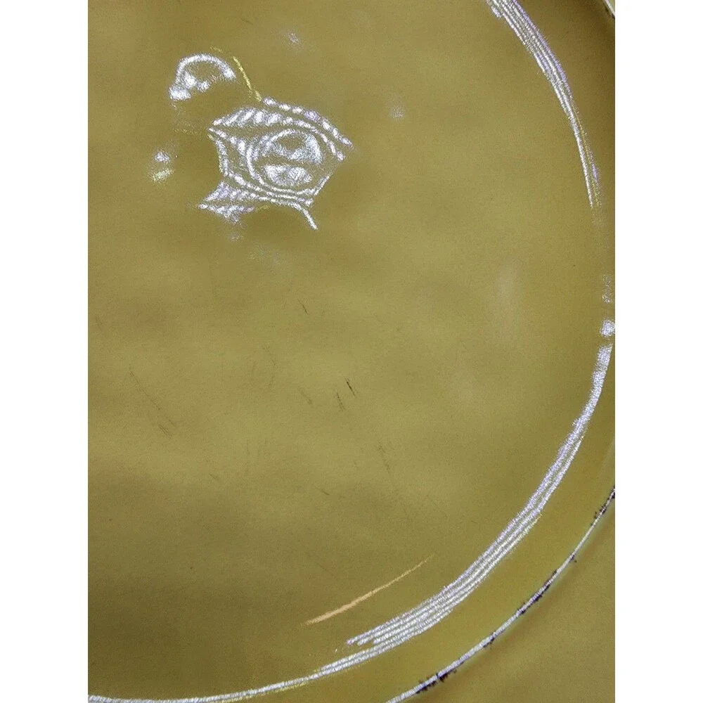 Pier 1 Martillo Mango Stoneware Dinner Plates (Set Of 4) READ!!!!!!!